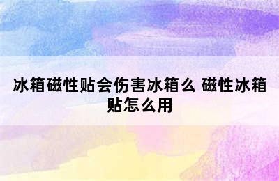 冰箱磁性贴会伤害冰箱么 磁性冰箱贴怎么用